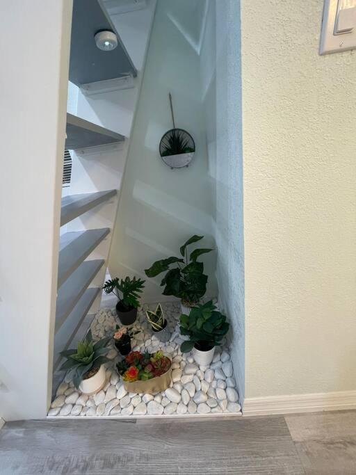 The Tiny Cottage In The Springs/ Central Fl Altamonte Springs Ngoại thất bức ảnh