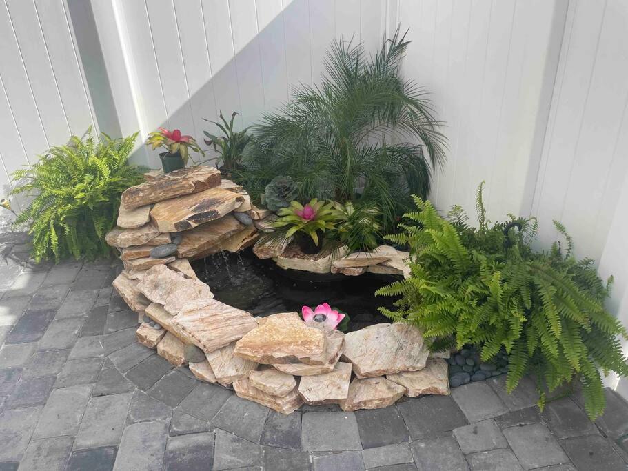 The Tiny Cottage In The Springs/ Central Fl Altamonte Springs Ngoại thất bức ảnh